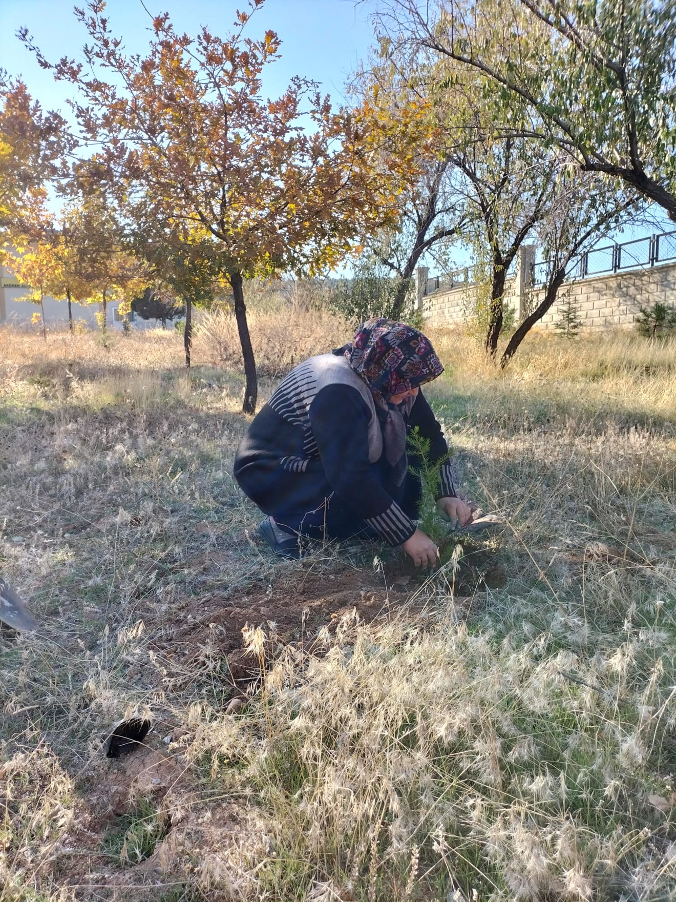11 Kasım Milli Ağaçlandırma Günü